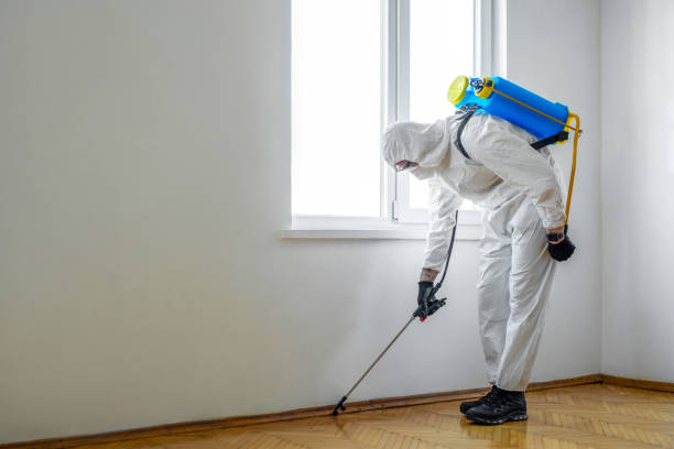 Best Pest Exclusion Services  in Keystone, FL